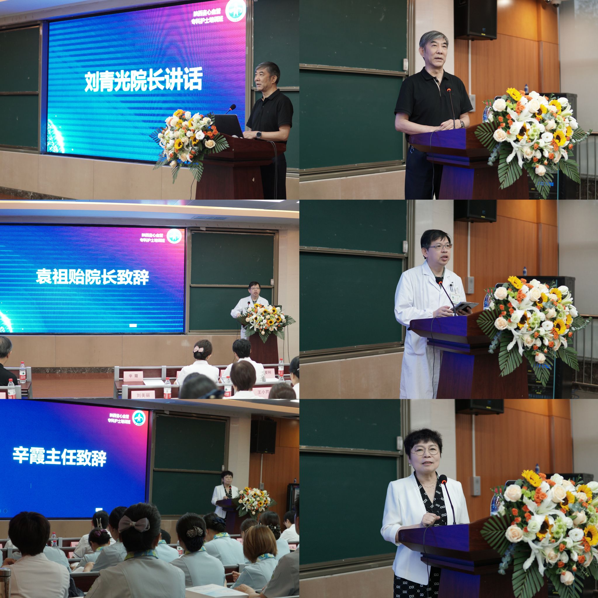 0daa6bb11f32efa816b5b528e4abe77