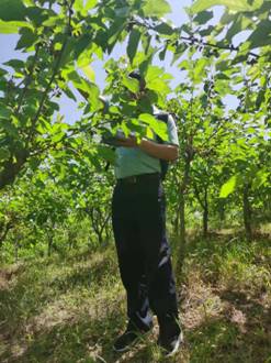 87b32a2c65b30a4ab0726cecb59de86