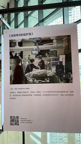 说明: 388464080771934058