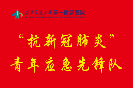 什么是青年先锋队 594E1E112F8F0E55166B3E872E9_8920EFBE_C6723.png