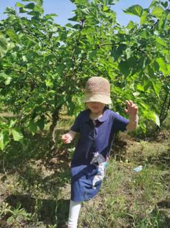 2f8933ae1d051395ba4328e9f914329