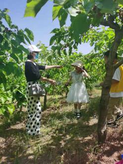 ce64211830f4a776078993db5e0ffd2