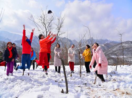 e1c099b8bdf7f5bfba678b4194bbb02